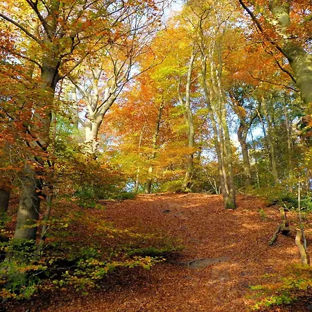 In Near Mookerheide *