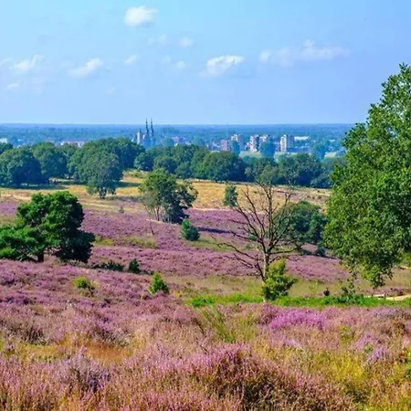 Feriehus In Near Mookerheide *