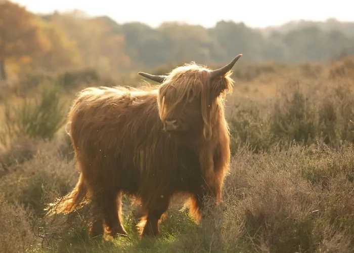 Сasa de vacaciones In Near Mookerheide *