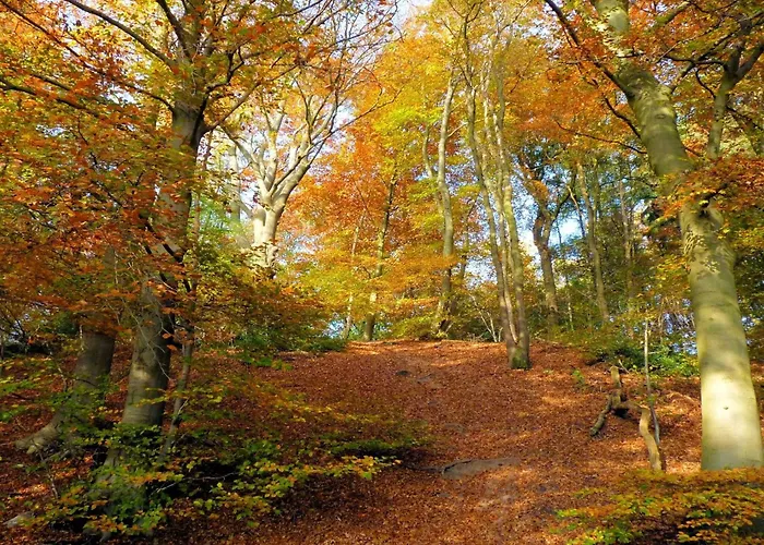 In Near Mookerheide *