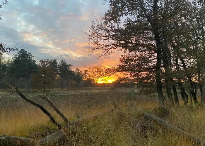 In Near Mookerheide Сasa de vacaciones Mook