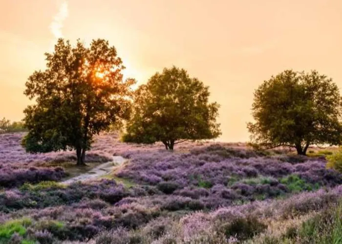 Сasa de vacaciones In Near Mookerheide *