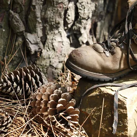 In Near Mookerheide 別荘 *