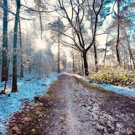 In Near Mookerheide 別荘 *