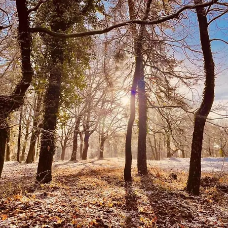 In Near Mookerheide 別荘 Mook