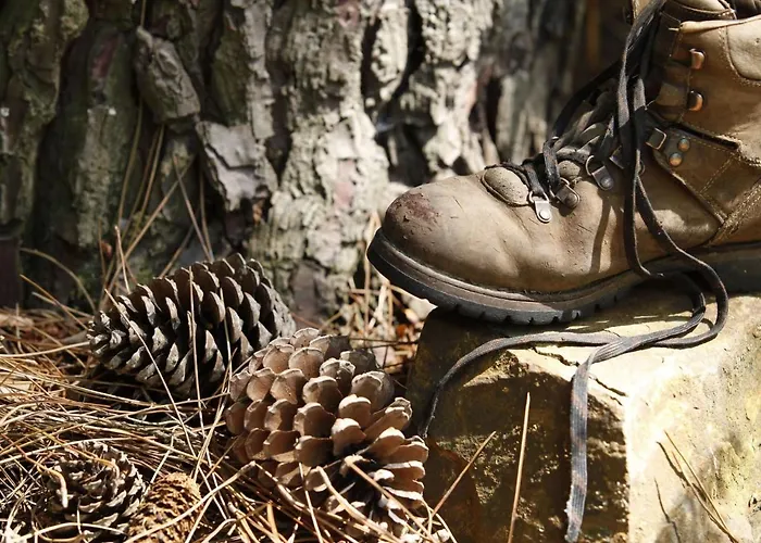 In Near Mookerheide 펜션 *