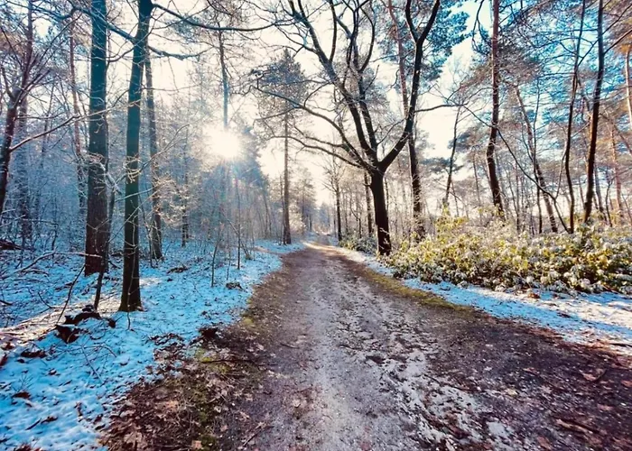 In Near Mookerheide 펜션 *