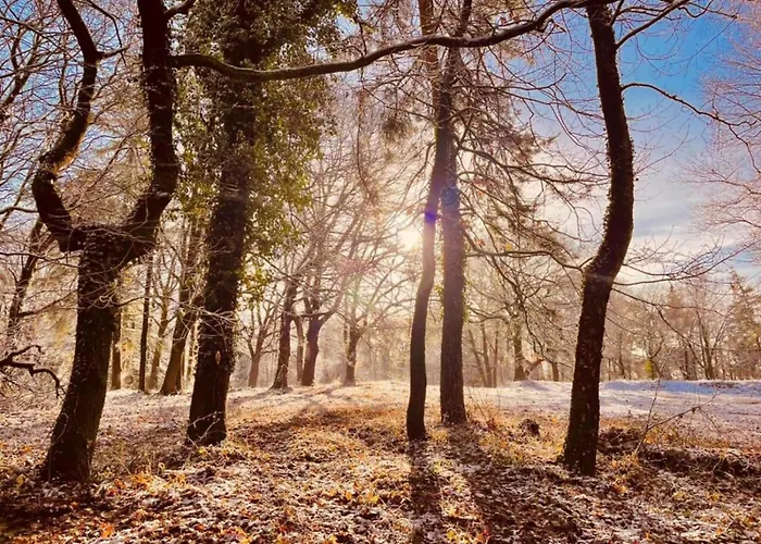 In Near Mookerheide 펜션 무크